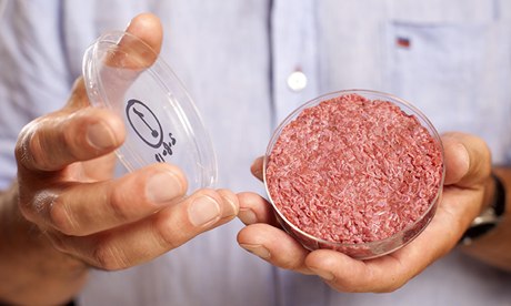 Schmeat isn't murder … a lab-grown slab of schmeat.