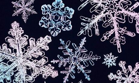 Snowflakes