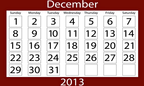 Calendar boy … Robertson wrote wrote a 365-word piece on each day in 2013. 