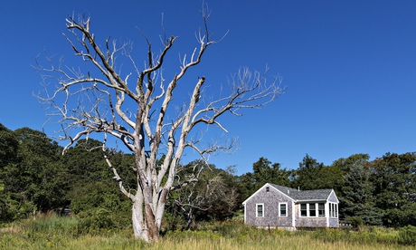 Orleans, Massachusetts.