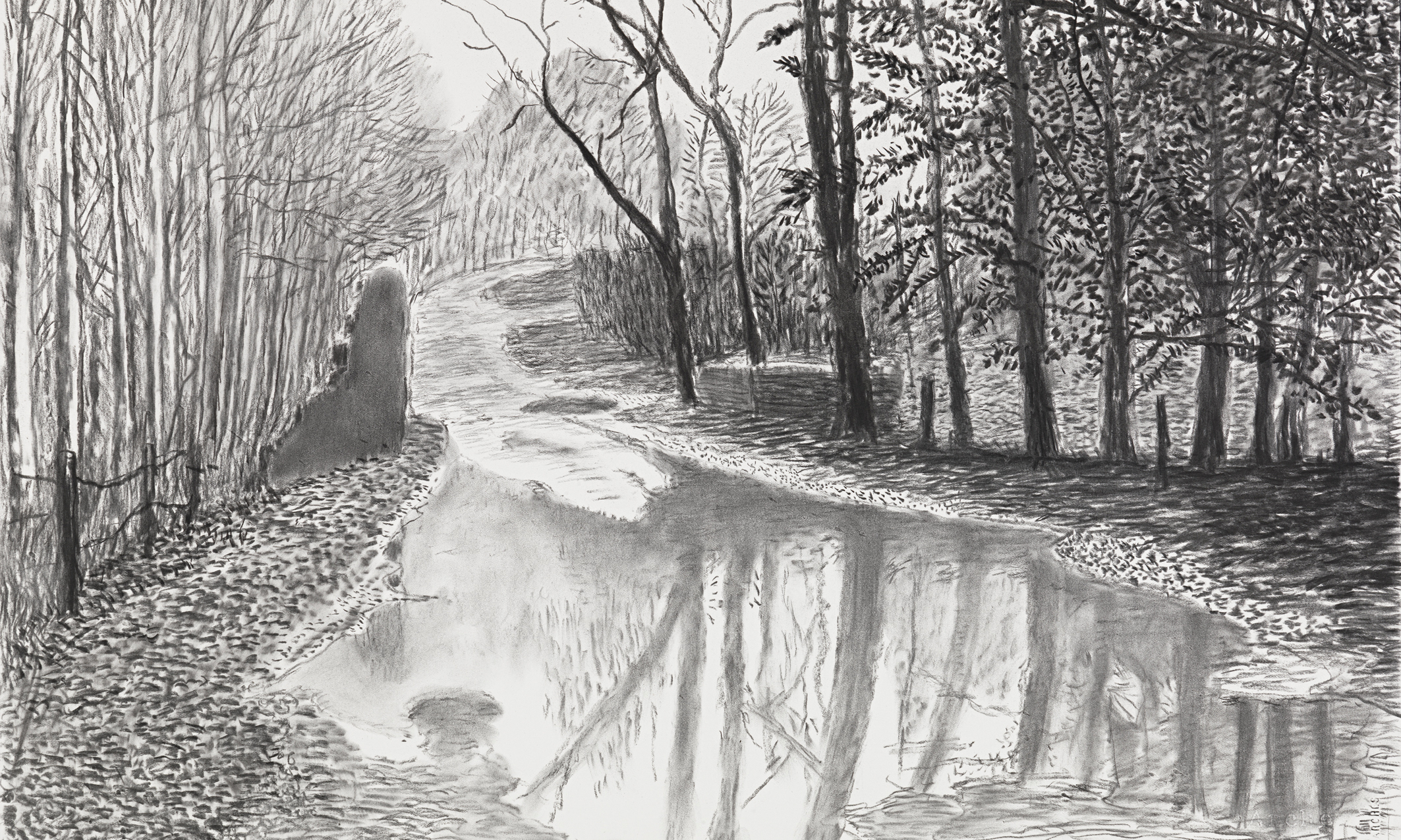 David Hockney's Yorkshire spring drawings | Art and design | The Guardian