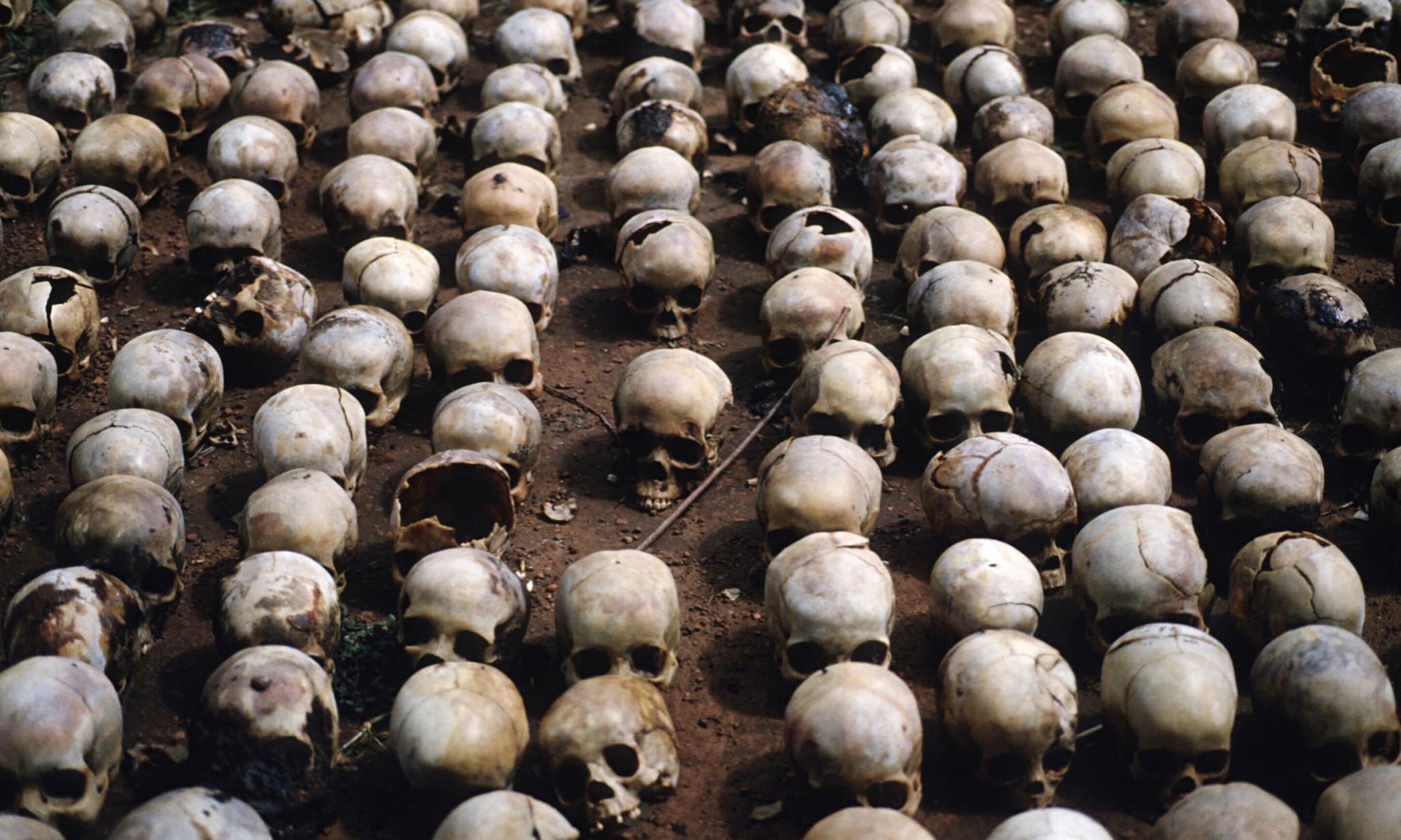 rwanda genocide who is to blame Chinaview: west is to blame for rwandan genocide in 1994: rwandan president rwandan president paul kagame on wednesday accused western countries of adopting an indifferent attitude toward. rwanda genocide who is to blame Chinaview: west is to blame for rwandan genocide in 1994: rwandan president rwandan president paul kagame on wednesday accused western countries of adopting an indifferent attitude toward.