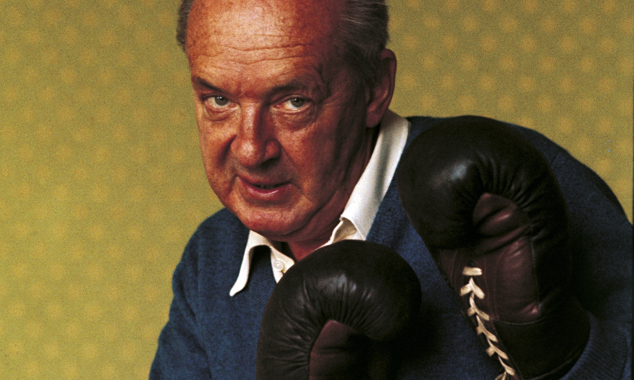 Vladimir nabokov essays