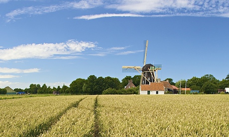 A small, quiet canvas … a farm in the Netherlands.