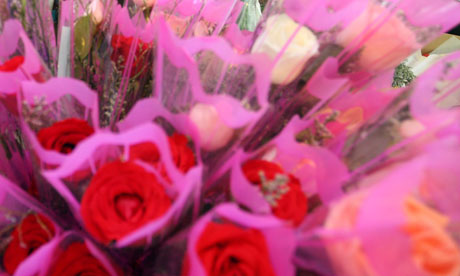 valentine's day roses