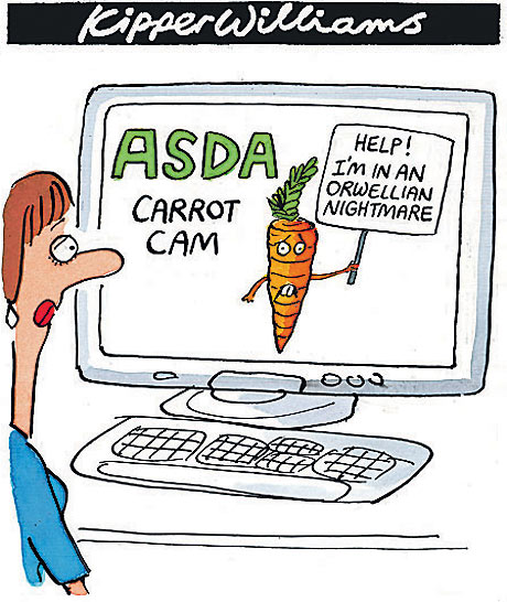 Asda carrotcam The supermarket has installed webcams to let customers watch their food being washed and packaged