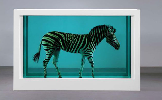 Damien Hirst - 'The Incredible Journey' a zebra in formaldehyde