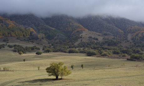 Alys Fowler: Kazakhstan