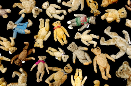 Student halls: teddies