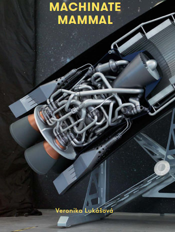 UAL art show: MA Photojournalism & Documentary Photography Online