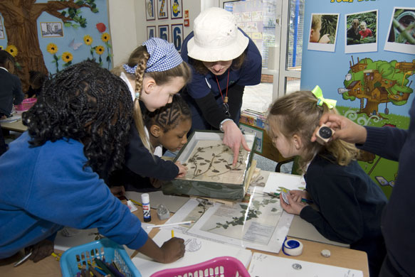 The Great Plant Hunt at St Judes