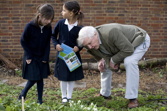 great plant hunt: The Great Plant Hunt Launch at St Judes Primary 