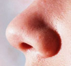 A nose