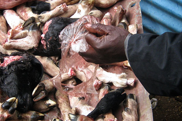 Umuzi photo club: Umuzi photo club