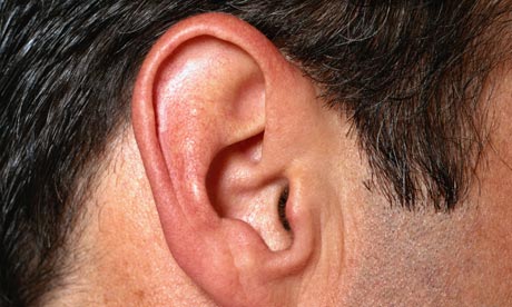 Improbable research: the measurement of ears and other body parts