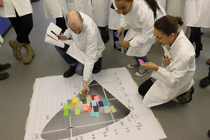 Broadvision: Broad Vision imaging science exploring how subjectivly we perceive colour