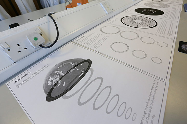Broadvision: Broadvision work in progress drawings for bioluminescent sculpture project