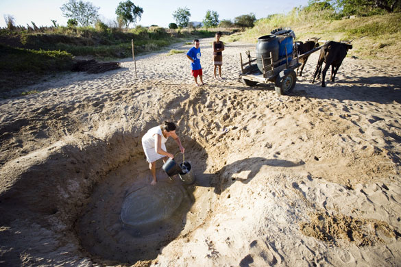 Gallery Brazil: Maria Aparecida Mendes da Silva