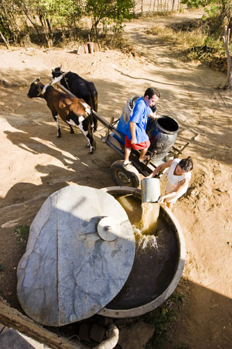 Gallery Brazil: Maria Aparecida Mendes da Silva, 44, off-loads the family's water supply