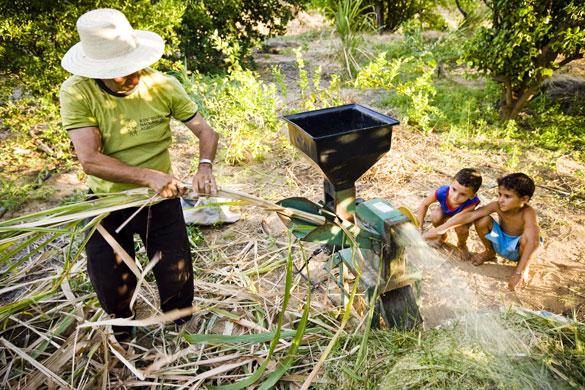 Gallery Brazil: 60 year old ZZˇ de Antonia shreds sugar cane from his garden