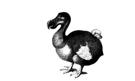 extInked an exhibition of drawing from  tattooists from Ink Vs Steel, Ultimate Holding Company