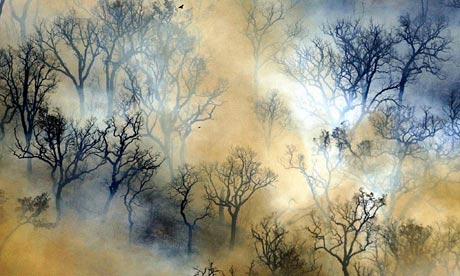 El cambio climático COP 15: sequías e incendios forestales en Portugal