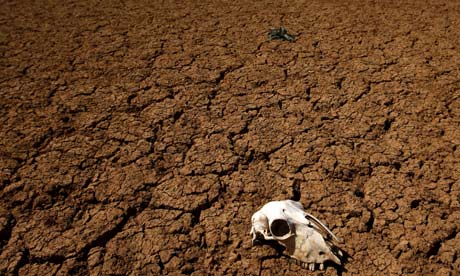 Water shortage will cause greater ruin than Peak Oil. Photograph: Pedro Armestre/AFP/Getty Images