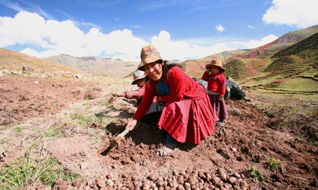 MDG : Photo Exhibition Adaptation Against The Odds from Practical Action