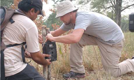 Leonardo Dicaprio on WWF Save the Tiger campain