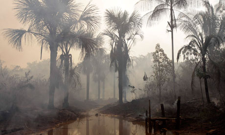 MDG: Brazil Climate change: drought