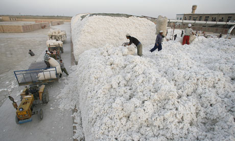 Workers unload bags of picked cotton, Xinjiang, China