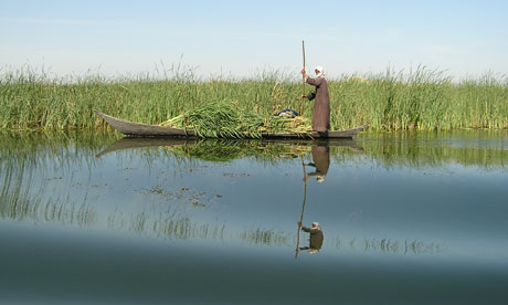Mesopotamian marshes of Iraq