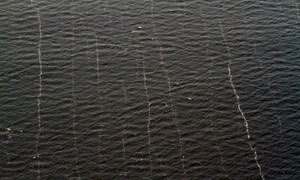 BP Deepwater Horizon oil spill BP Deepwater Horizon oil spill