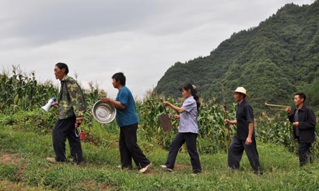 china crops