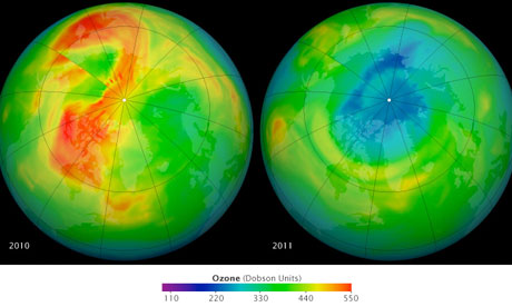 maps of ozone concentrations over the Arctic