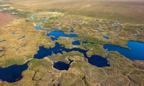 Hacked climate emails : Permafrost melts during summer in Alaska