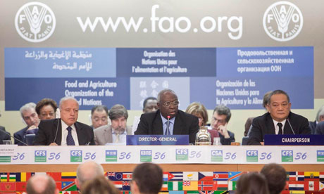 MDG: FAO : Committee on World Food Security 