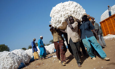 MDG : Mali : Cotton farmers and their family members