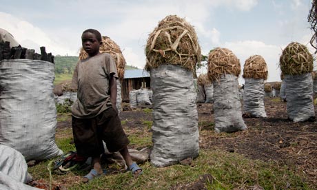 MDG : UNESCO report : children in RDC