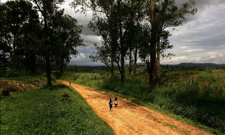 MDG : Unesco report : children in RDC