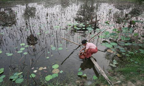 MDG : Myanmar : A girl fetches water from a pond on the outskirts of Yangon