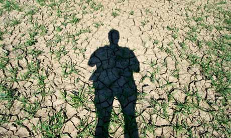 2010 Heatwave in Germany : Drought in agriculture