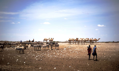 MDG : Drought in Somalia