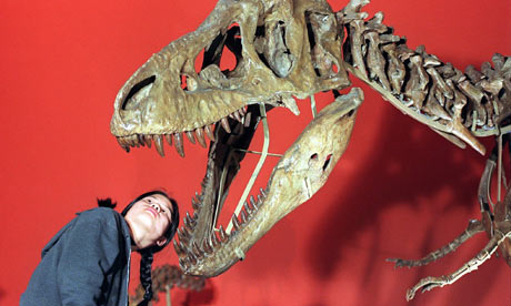  Girl Looks into Mouth of Tarbosaurus at the Natural History museum, London