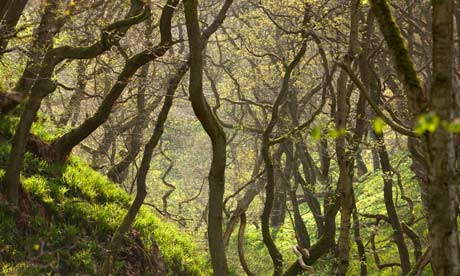 Ask leo : a price on nature 