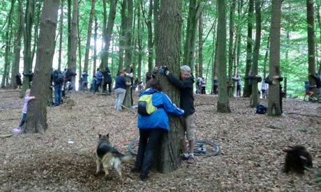 Treehuggers break the treehugging Guinness world record in Delamere wood in Cheshire