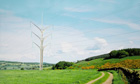 Pylon designs : Flower Tower