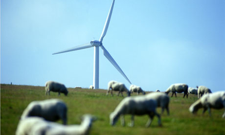 Leo Blog: Wind turbine tower over grazing sheep in South Wales