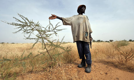 MDG : Burkina Faso : Desertification