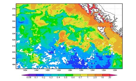 Partido Verde canadense denuncia projeto de 'fertilização' do mar no Canadá